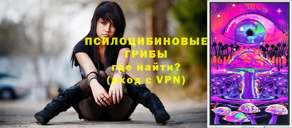 ешки Володарск