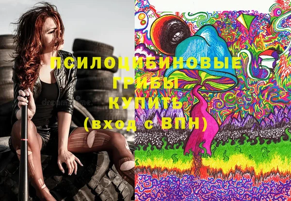 ешки Володарск